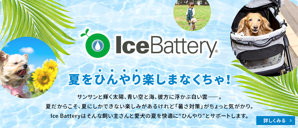 IceBattery 夏をひんやり楽しまなくちゃ!