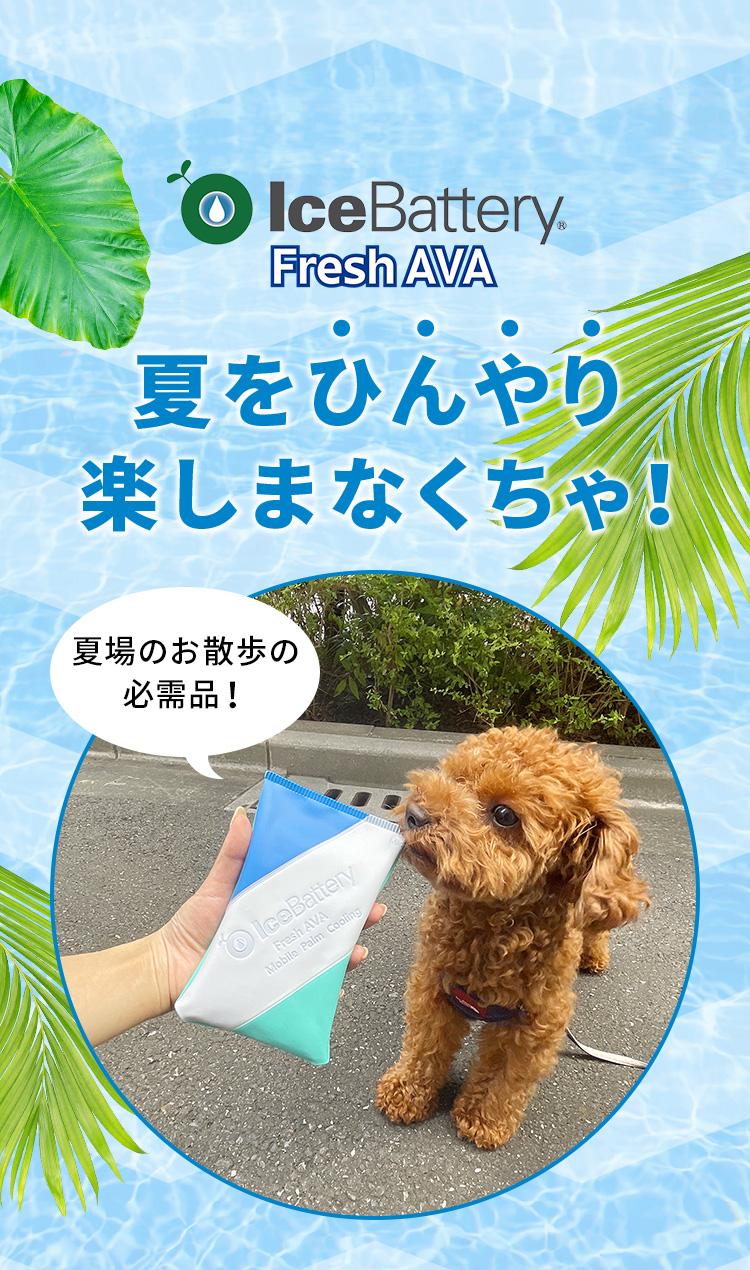 夏をひんやり楽しまなくちゃ!夏場のお散歩の必需品!「IceBattery Fresh AVA」